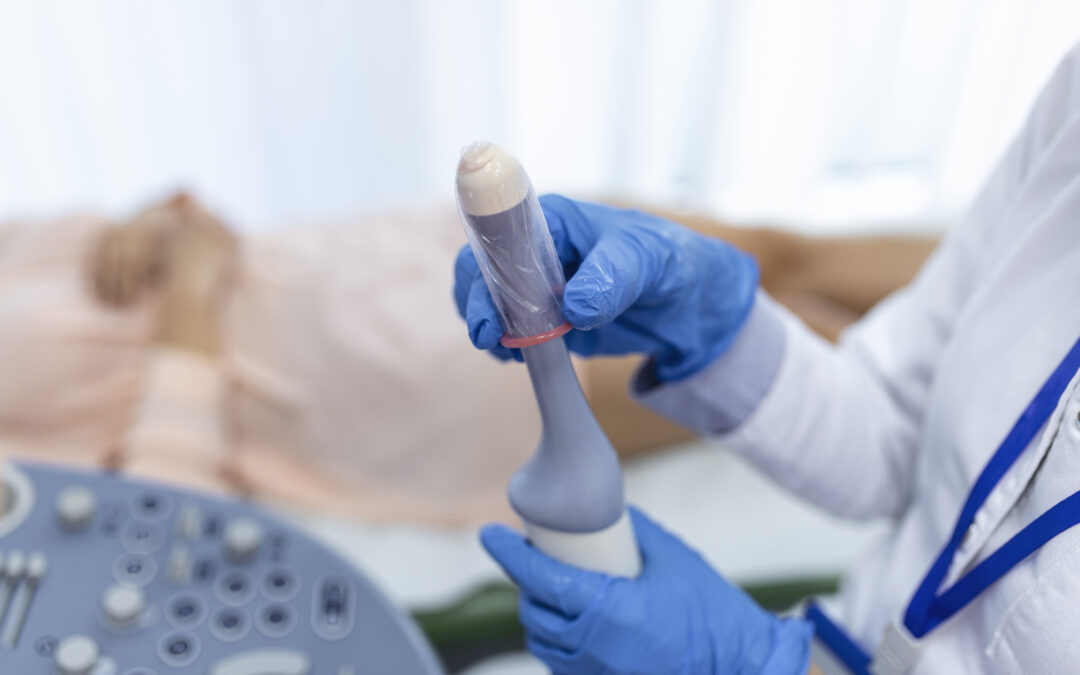 Ecografía Transvaginal, endovaginal, intrauterina en Quito