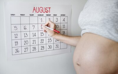 ¿Qué es una calculadora de embarazo o gestacional?