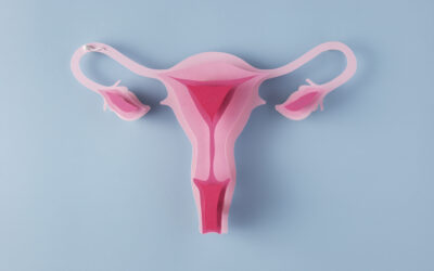 Conociendo tu cuerpo: anatomía femenina sin tabúes