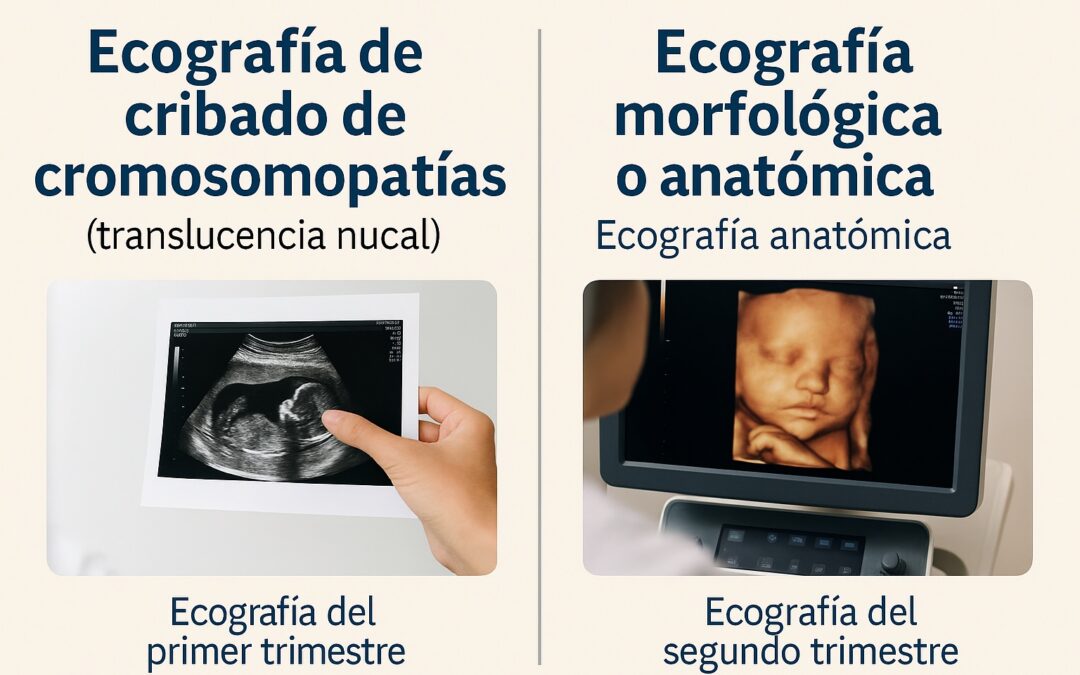 Ecografía de cribado de cromosomopatías (translucencia nucal) y ecografía morfológica en Quito