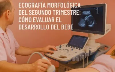 Ecografía morfológica del segundo trimestre: cómo evaluar el desarrollo del bebé