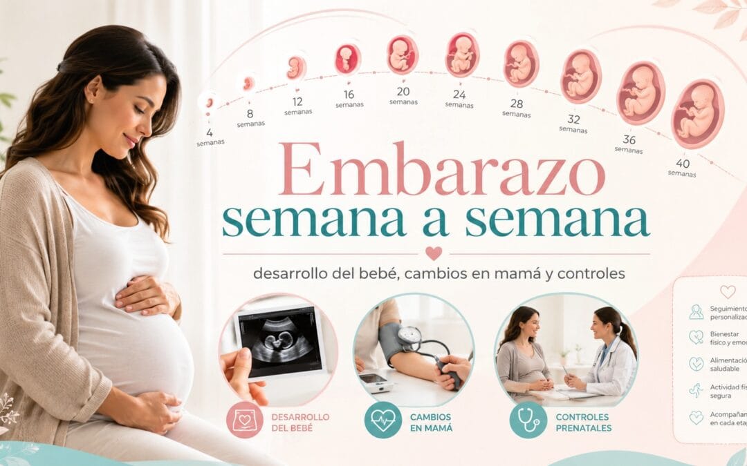 Mujer embarazada con línea de tiempo del desarrollo del bebé semana a semana, ecografía y controles prenatales.