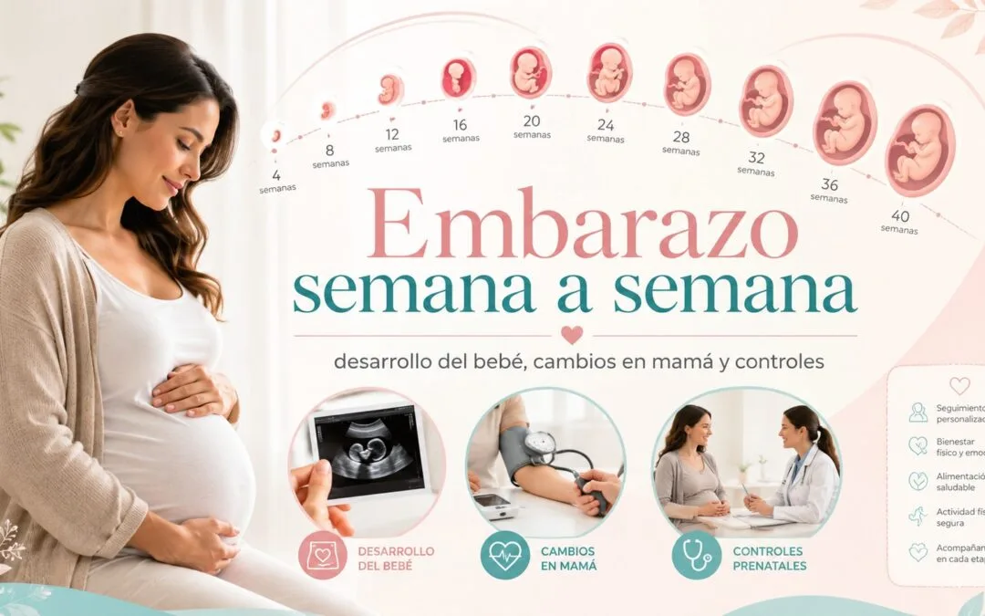Embarazo semana a semana: desarrollo del bebé, cambios en mamá y controles