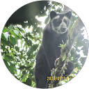 Foto de perfil de Margarita Arboleda E.